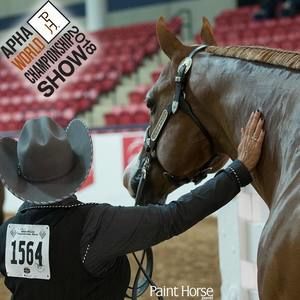 Meet your Posher, Ronda